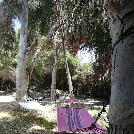 Glamping El Arbol - Naturaleza Y Mar La Serena Exterior photo