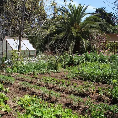 Glamping El Arbol - Naturaleza Y Mar La Serena Exterior photo