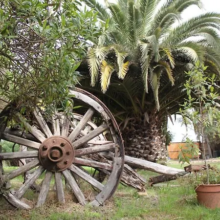 Glamping El Arbol - Naturaleza Y Mar La Serena Exterior photo