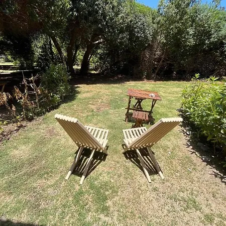 Glamping El Arbol - Naturaleza Y Mar La Serena Exterior photo