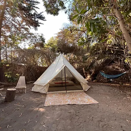Glamping El Arbol - Naturaleza Y Mar La Serena Exterior photo