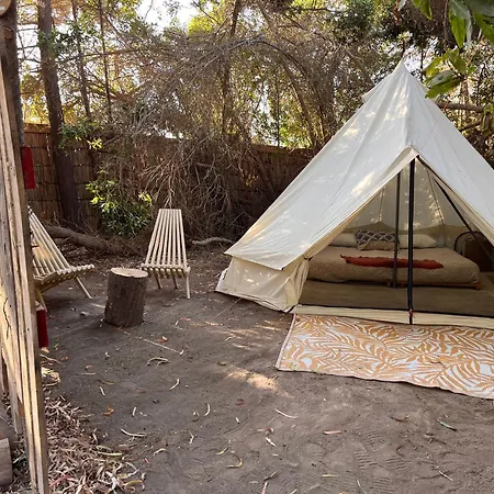 Glamping El Arbol - Naturaleza Y Mar La Serena Exterior photo